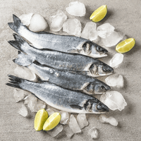 Branzino - Whole Fish