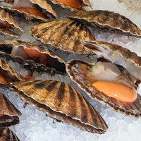 Scallops delivery seafood