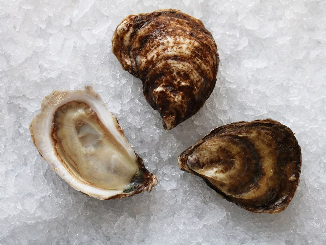 Catered & Delivered - Oysters - Black Magic (On the Half Shell)