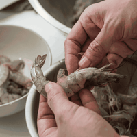 Shrimp - Colossal/Tiger