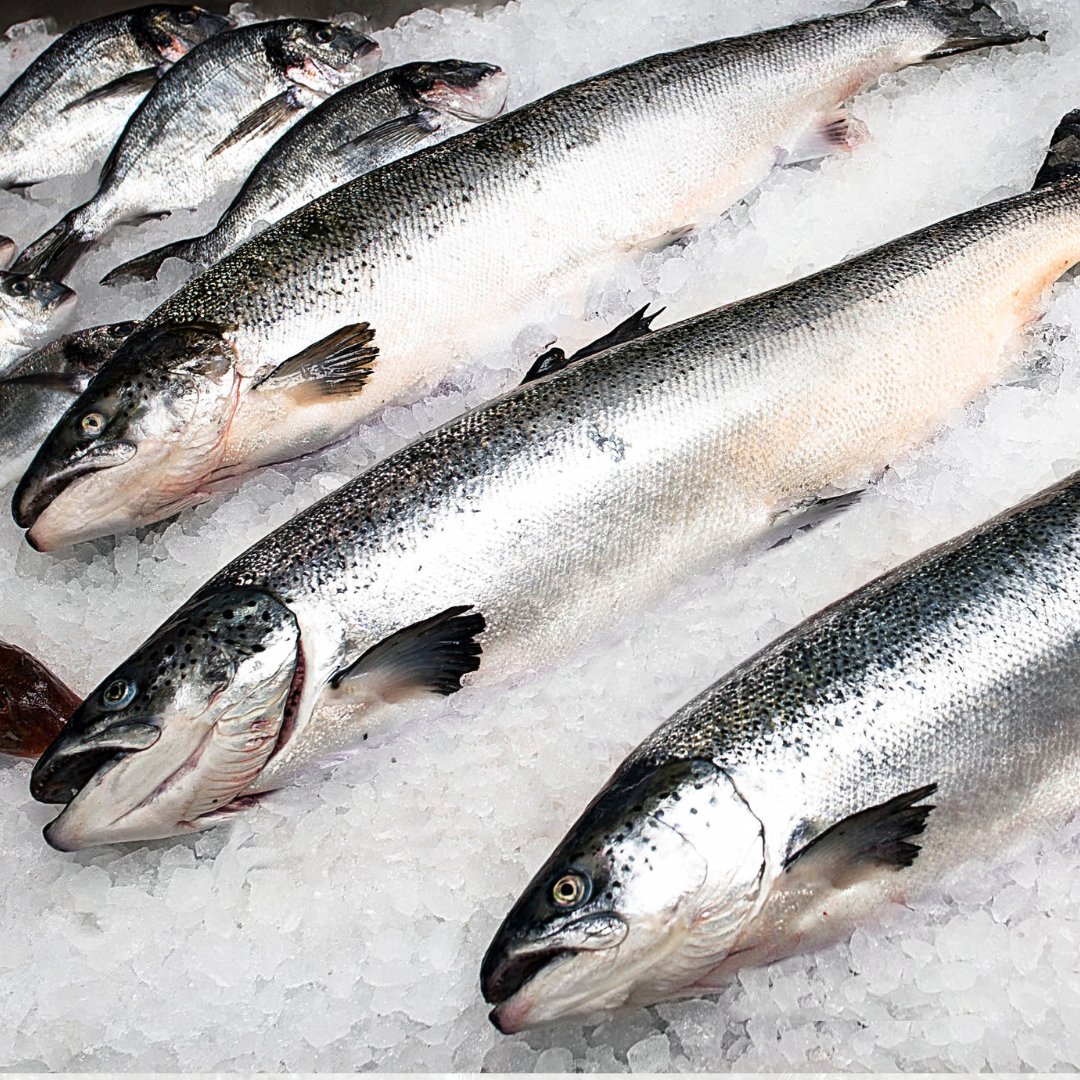 Arctic Char - whole fish