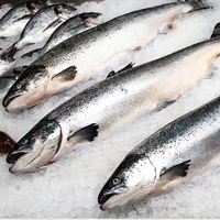 Arctic Char - whole fish