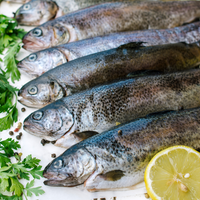 Arctic Char - whole fish