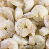 Shrimp - Baby (Raw/Cooked)