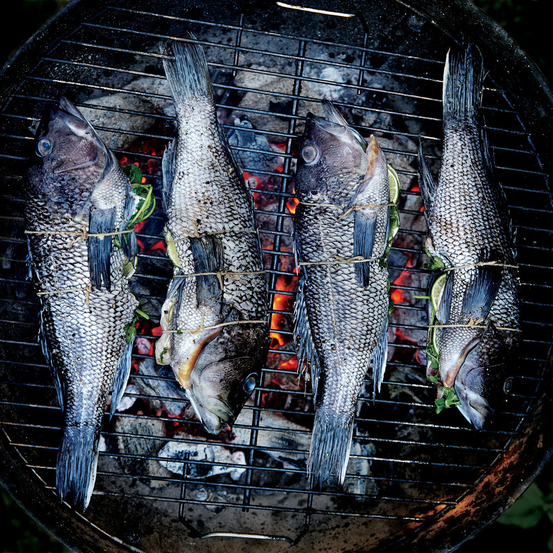 Black Sea Bass - Whole Fish