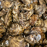 Catered & Delivered - Oysters - Black Magic (On the Half Shell)