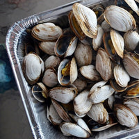 steamer clams seafood delivery