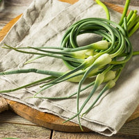Goat & Pork Garlic Scape Sausages - Ghost Dog Dairy Farm