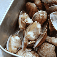 clams seafood delivery