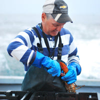 live lobster seafood delivery