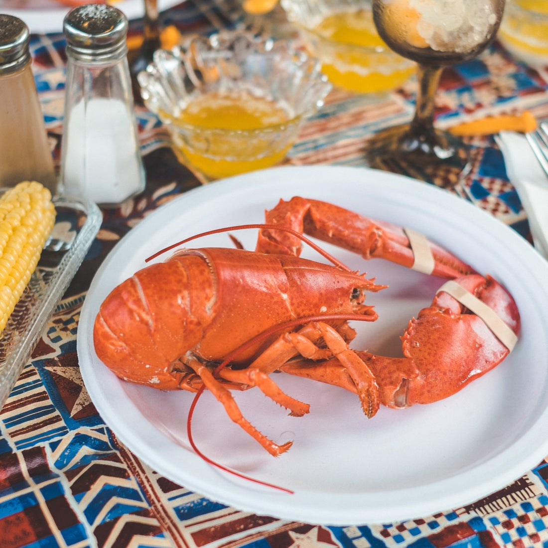 live lobster seafood delivery