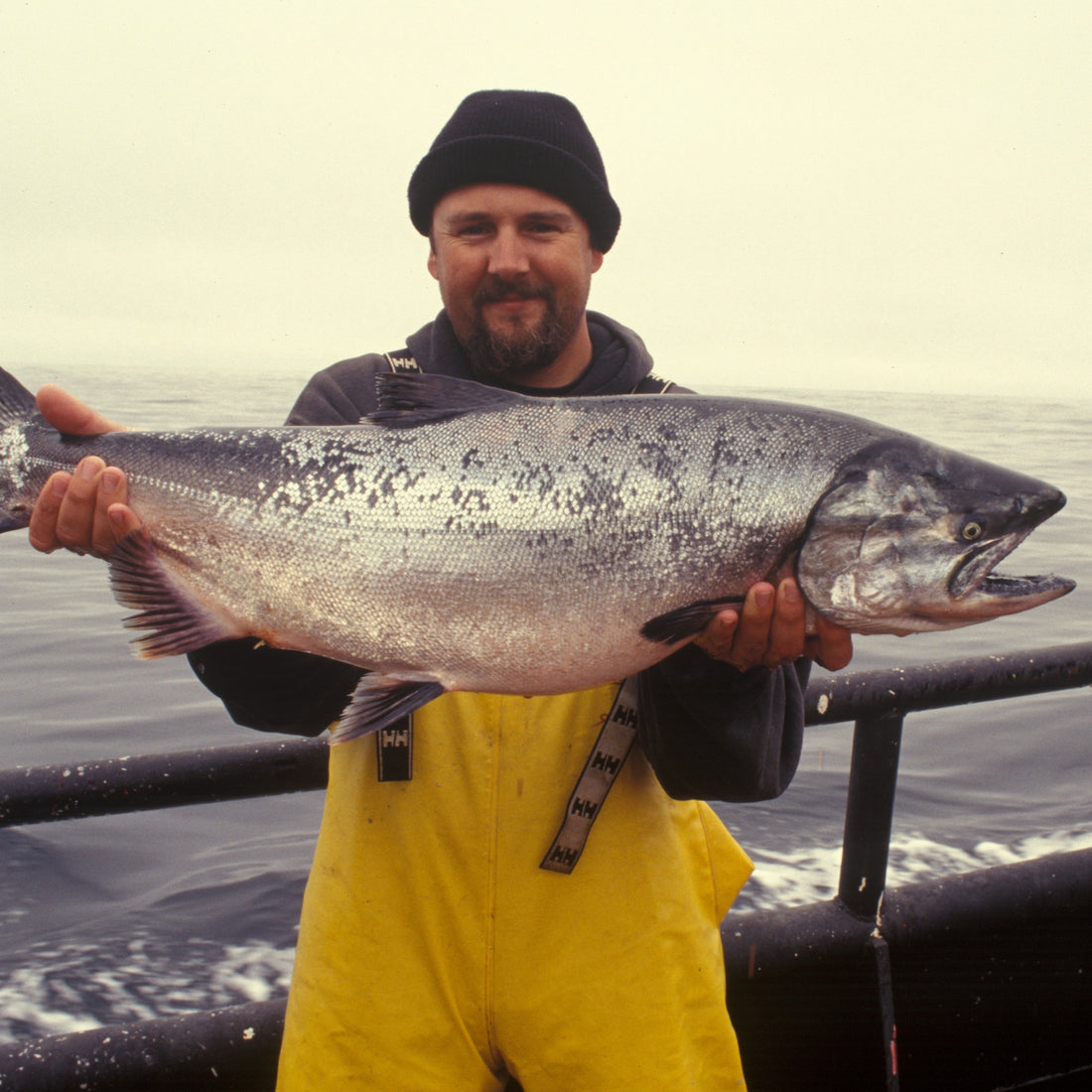 Salmon - Whole Side