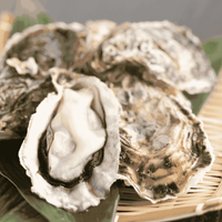 Oysters seafood delivery