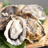 Oyster Lover Raw Bar