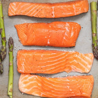 Salmon - Coho