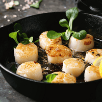 Scallops 10/20