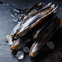 Razor Clams