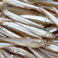 Smelts