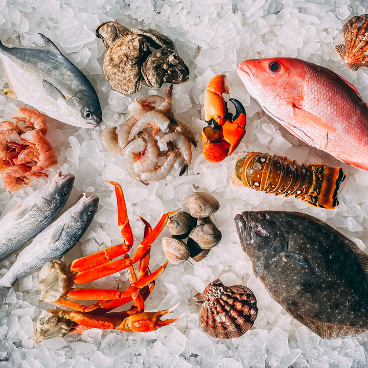 A Guide to Keep Your Fresh Fish Fresher