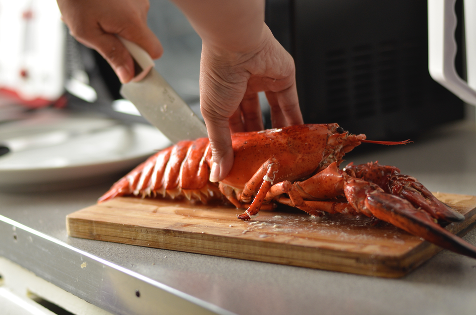 Shellfish & Crustaceans