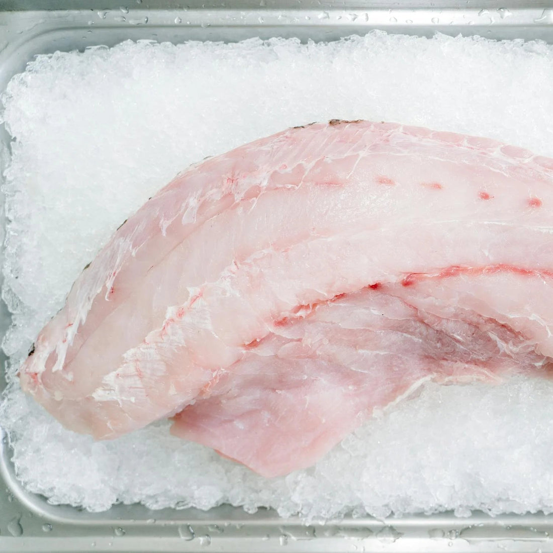 Grouper Fillet