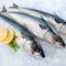 Mackerel - Whole Fish