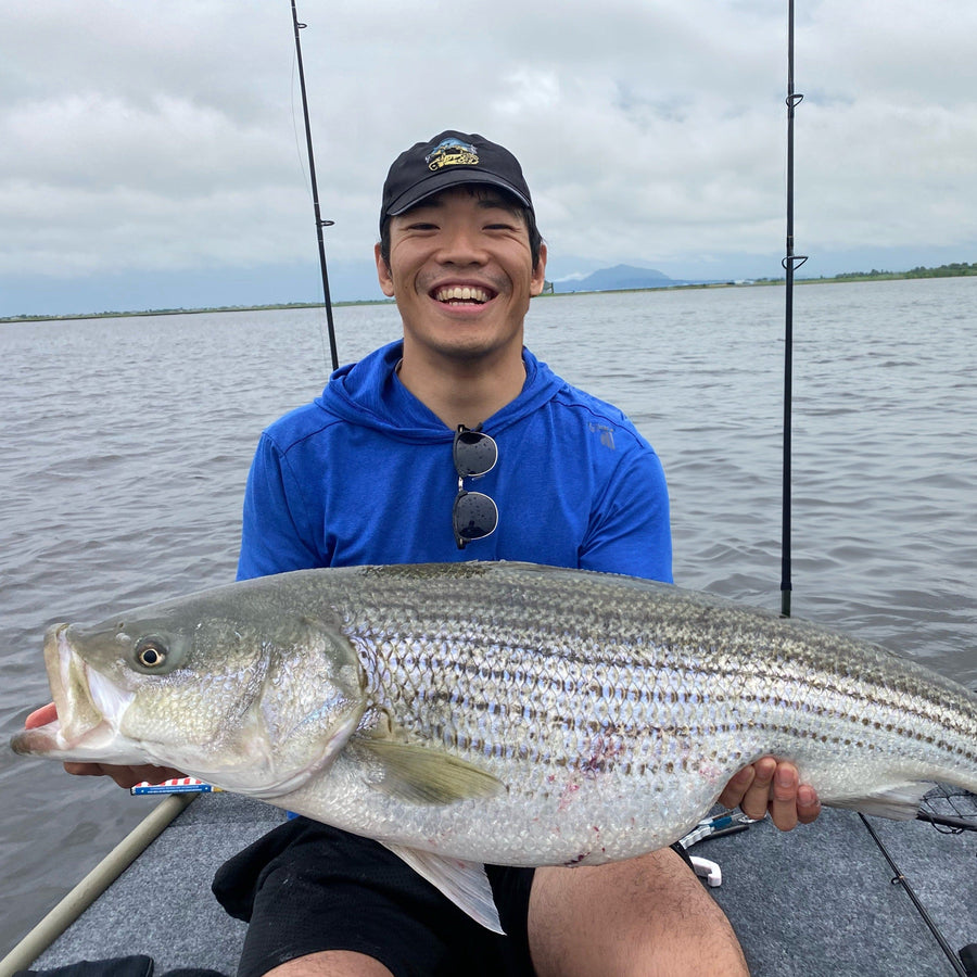 Dayboat Striped Bass