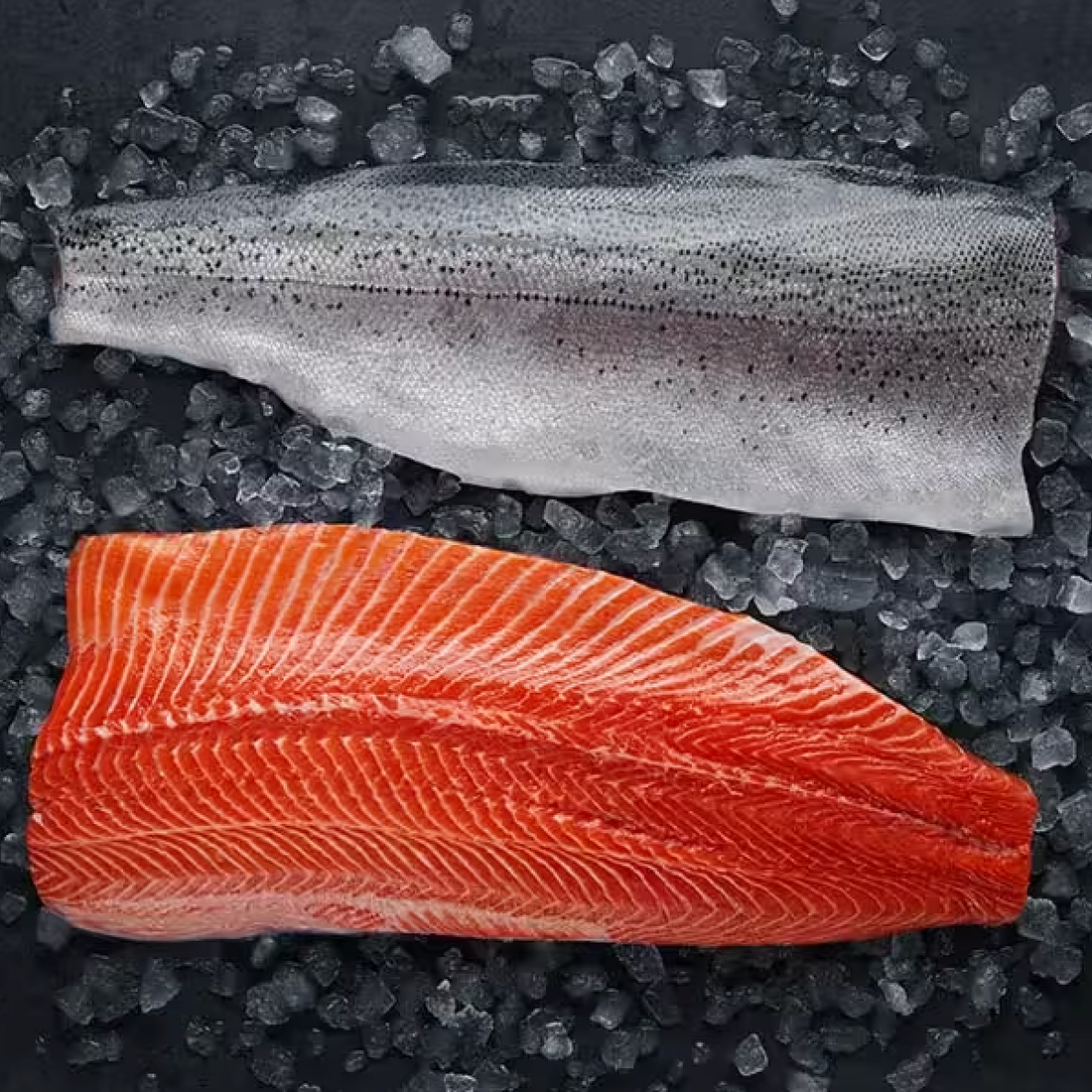 Norwegian Mountain Trout