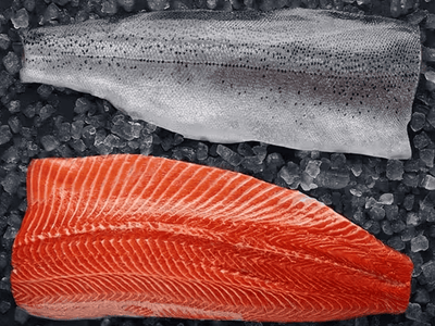 Norwegian Mountain Trout — delivered fresh in Acton, MA
