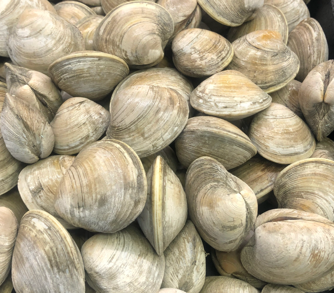 Feast of the Seven Fishes