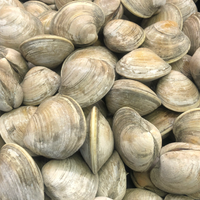 Feast of the Seven Fishes