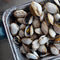 Steamer Clams (2lbs)
