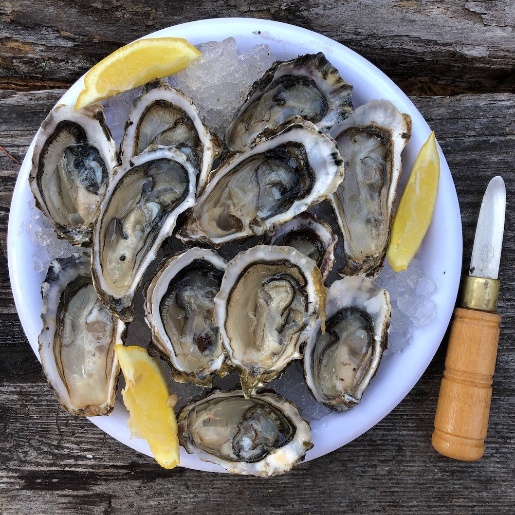 Oysters - Unshucked