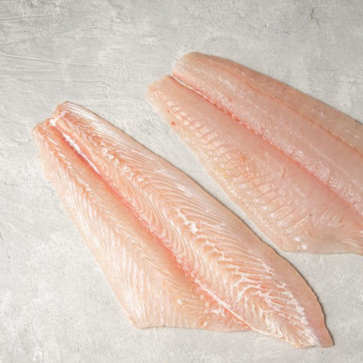 Fluke Rack Filet Fish by the Pound | Svenfish