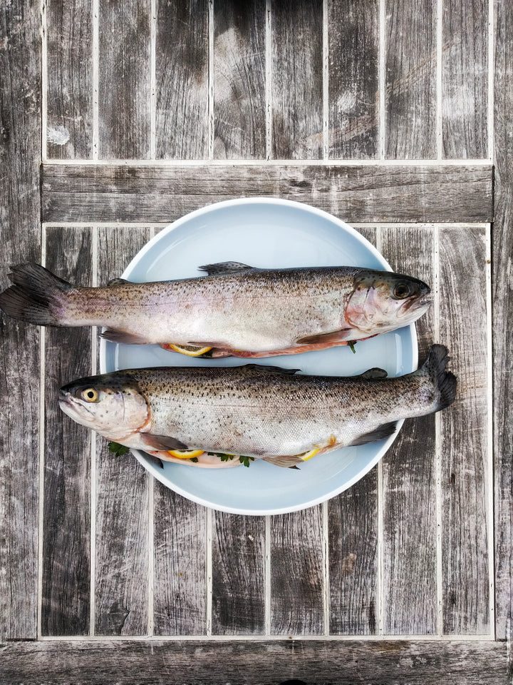 Svenfish | Fresh Seafood Delivered to Your Door