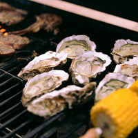 Oysters - Unshucked
