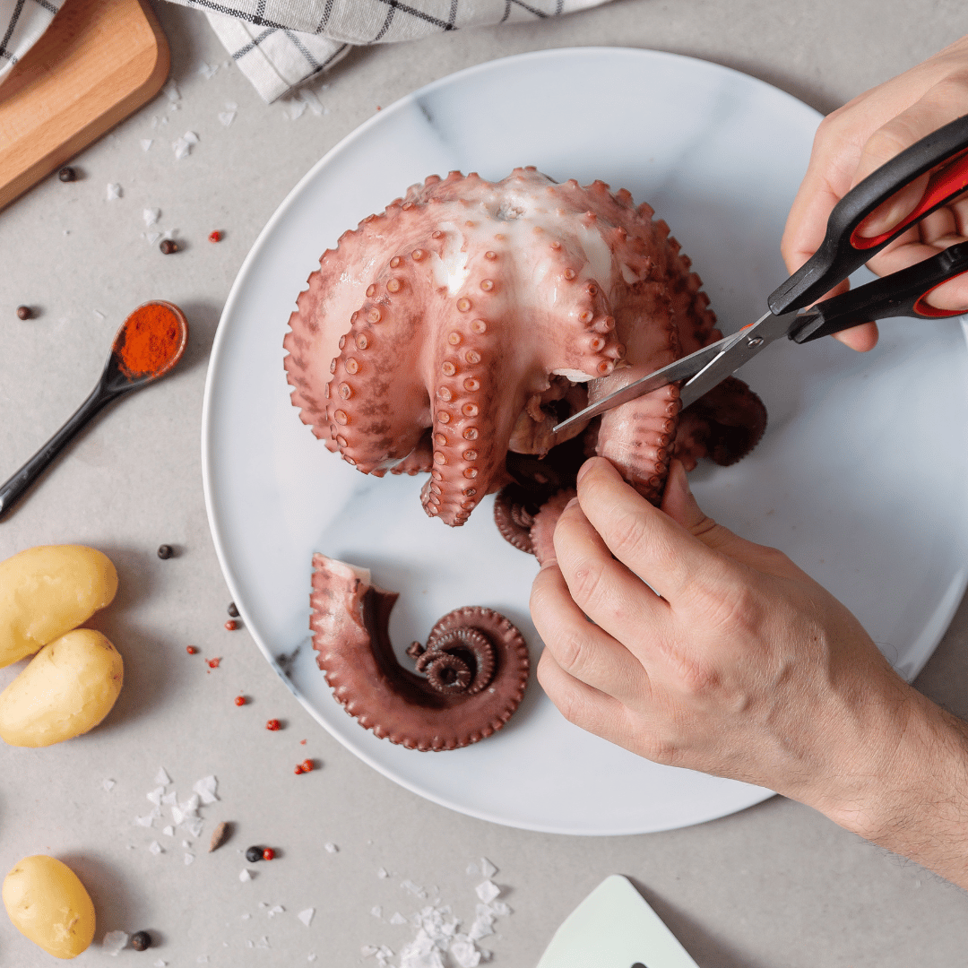 Fresh Large Octopus | Octopus Delivery Massachusetts