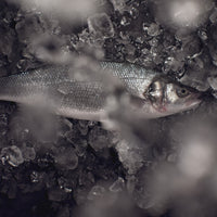 Image by Supamotion on Freepik