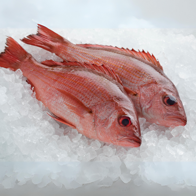 Fresh Whole Snapper | Seafood Delivery MA