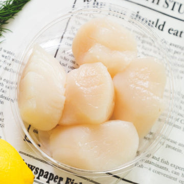 Scallops
