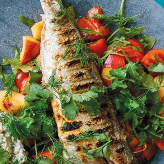Fresh Bluefish Fillet | MA Seafood Delivery | Svenfish