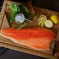 Troll King Salmon