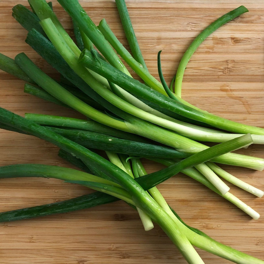 Green Onions (Scallions)